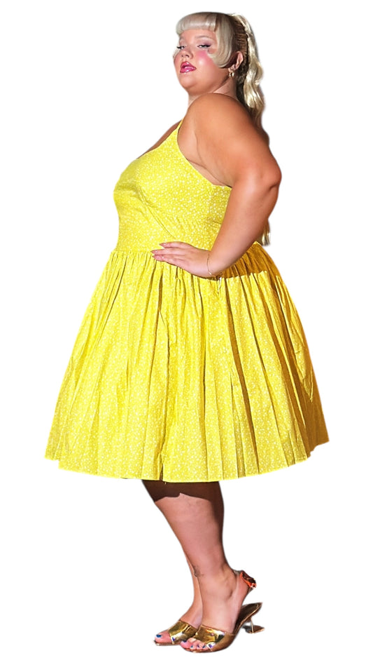 Bernie Dexter Chelsea Dress in Little Star Print