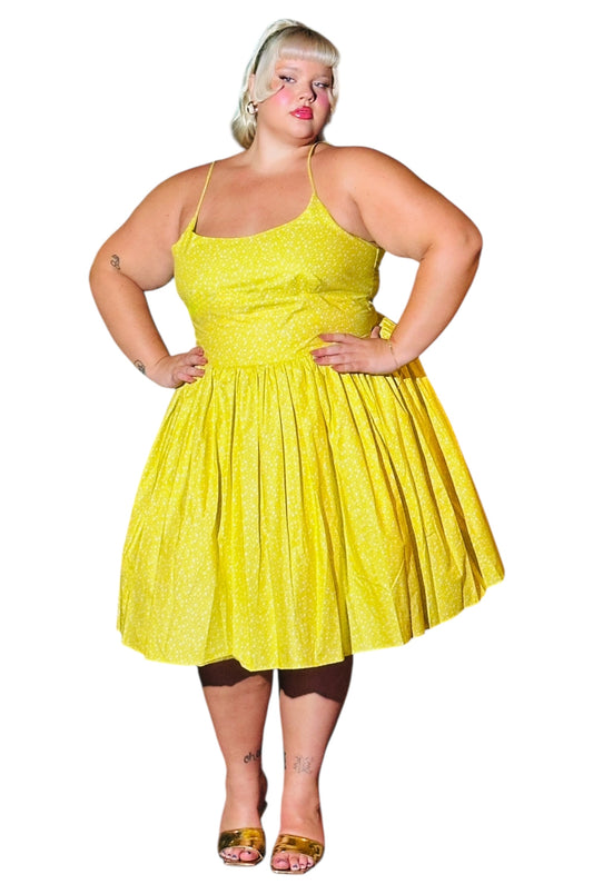 Bernie Dexter Chelsea Dress in Little Star Print